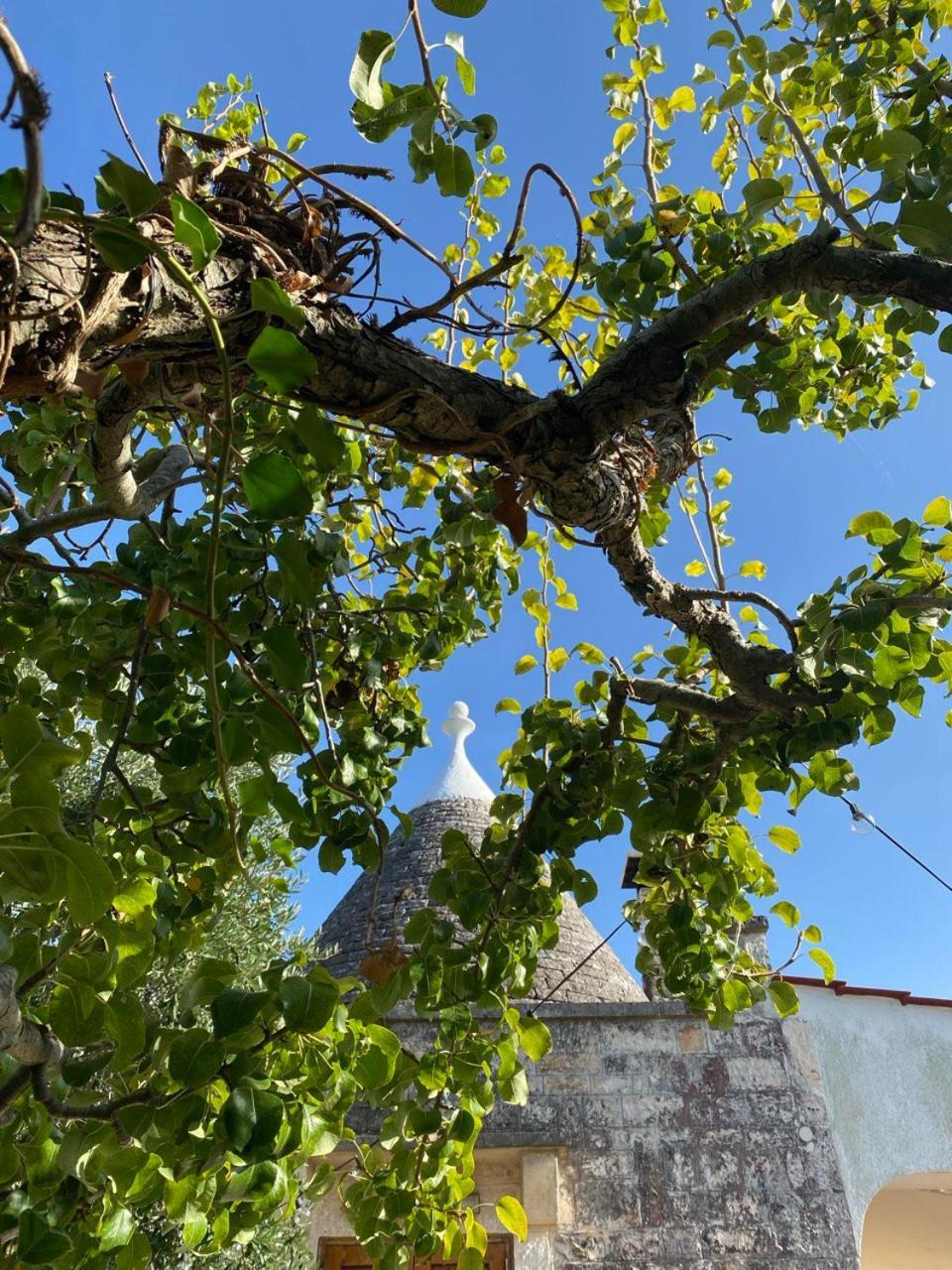Вілла Il Trullo Del Lazzeruolo Santa Lucia  Екстер'єр фото