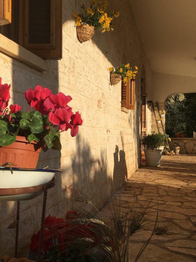 Вілла Il Trullo Del Lazzeruolo Santa Lucia  Екстер'єр фото